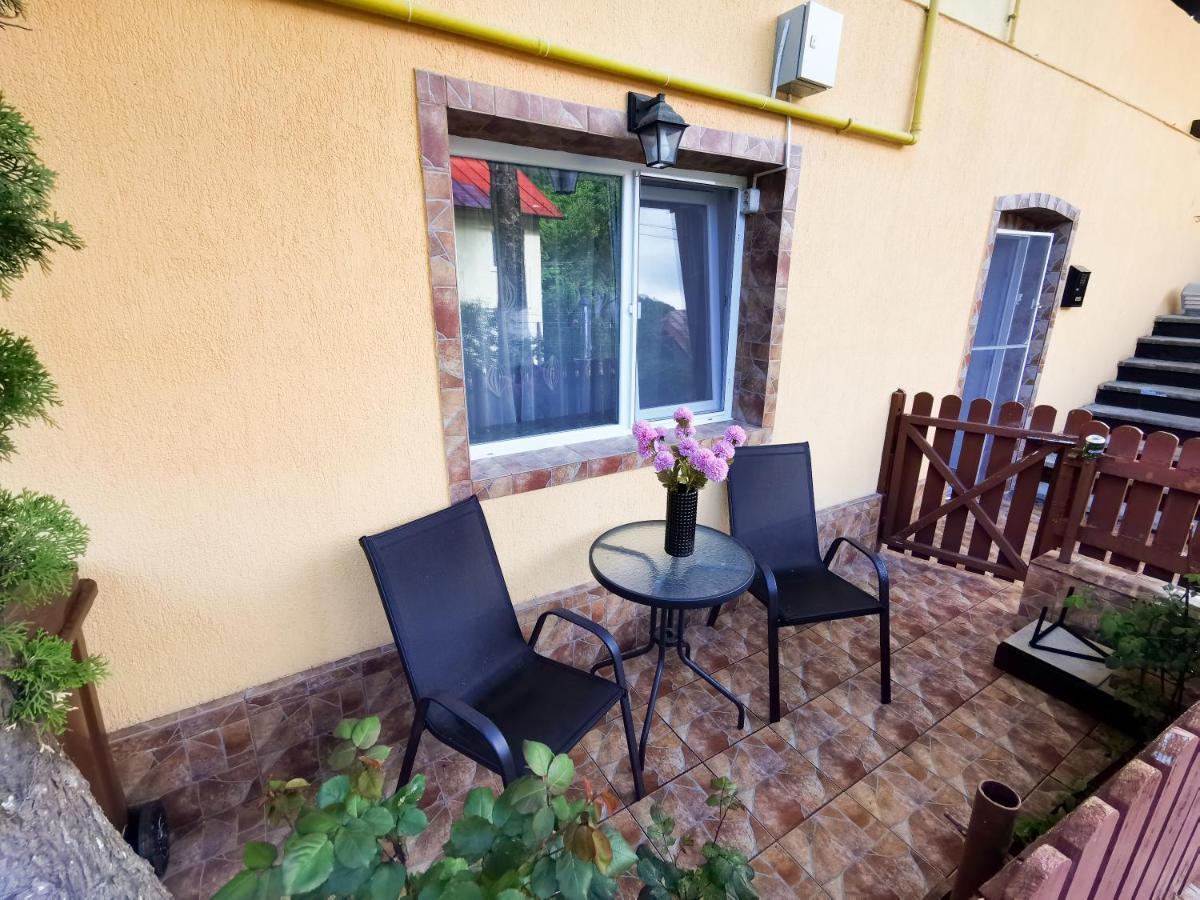 Apartament Dilama Sinaia Ngoại thất bức ảnh